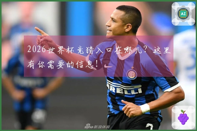 2026世界杯竞猜入口在哪儿？这里有你需要的信息！
