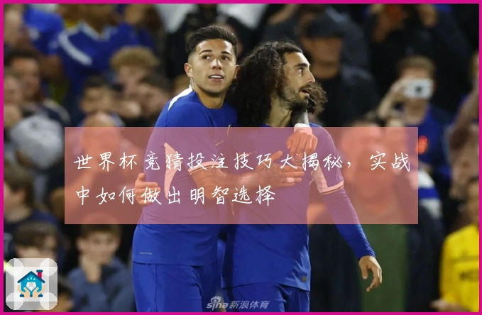 世界杯竞猜投注技巧大揭秘，实战中如何做出明智选择