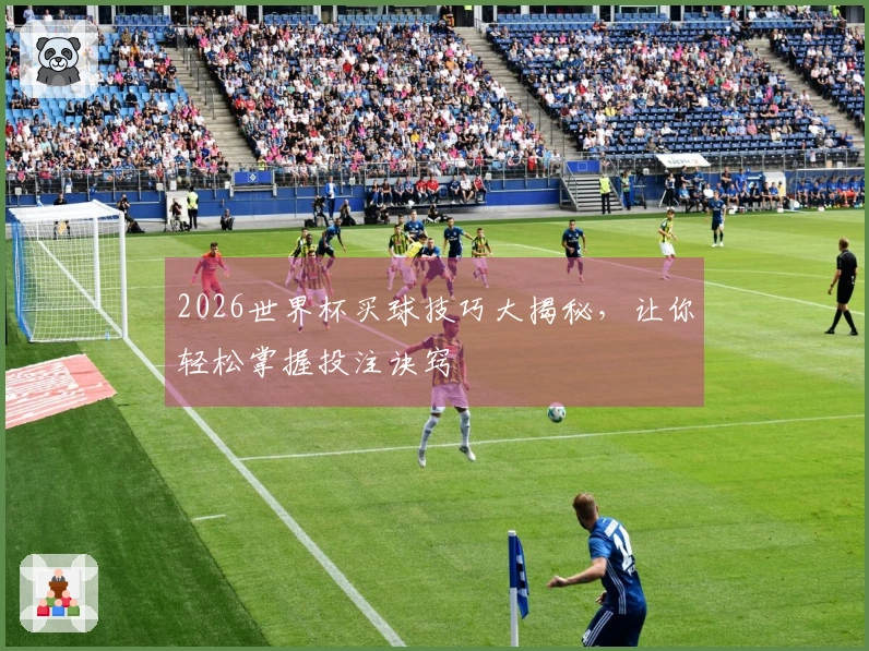 2026世界杯买球技巧大揭秘，让你轻松掌握投注诀窍