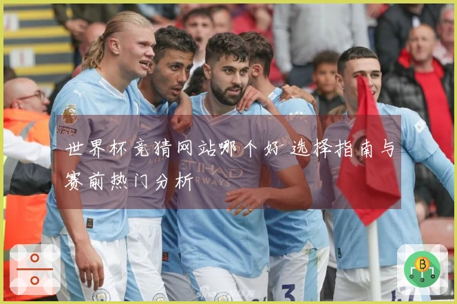 世界杯竞猜网站哪个好 选择指南与赛前热门分析