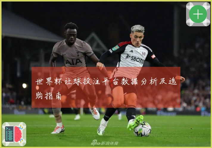 世界杯让球投注平台数据分析及选购指南