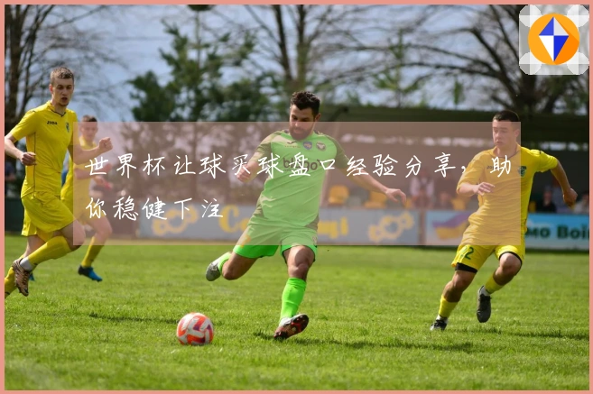 世界杯让球买球盘口经验分享，助你稳健下注