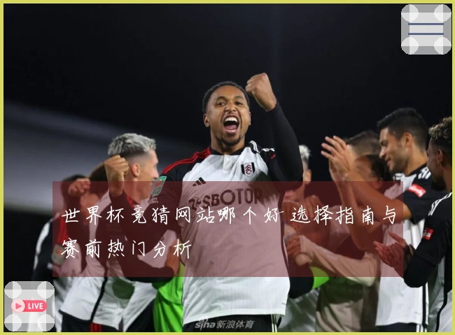 世界杯竞猜网站哪个好 选择指南与赛前热门分析