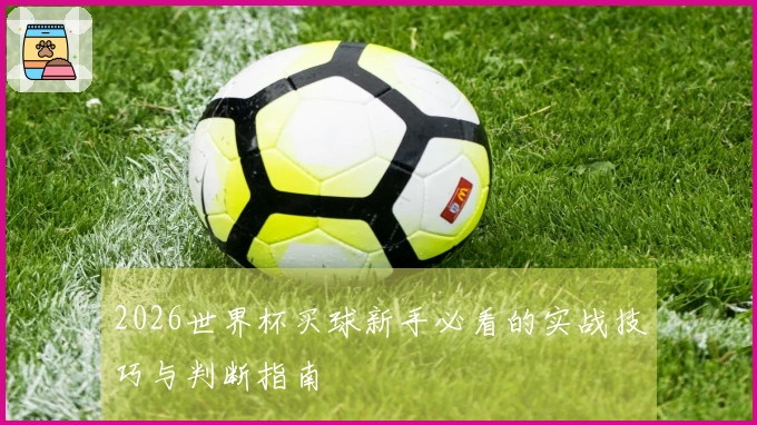 2026世界杯买球新手必看的实战技巧与判断指南